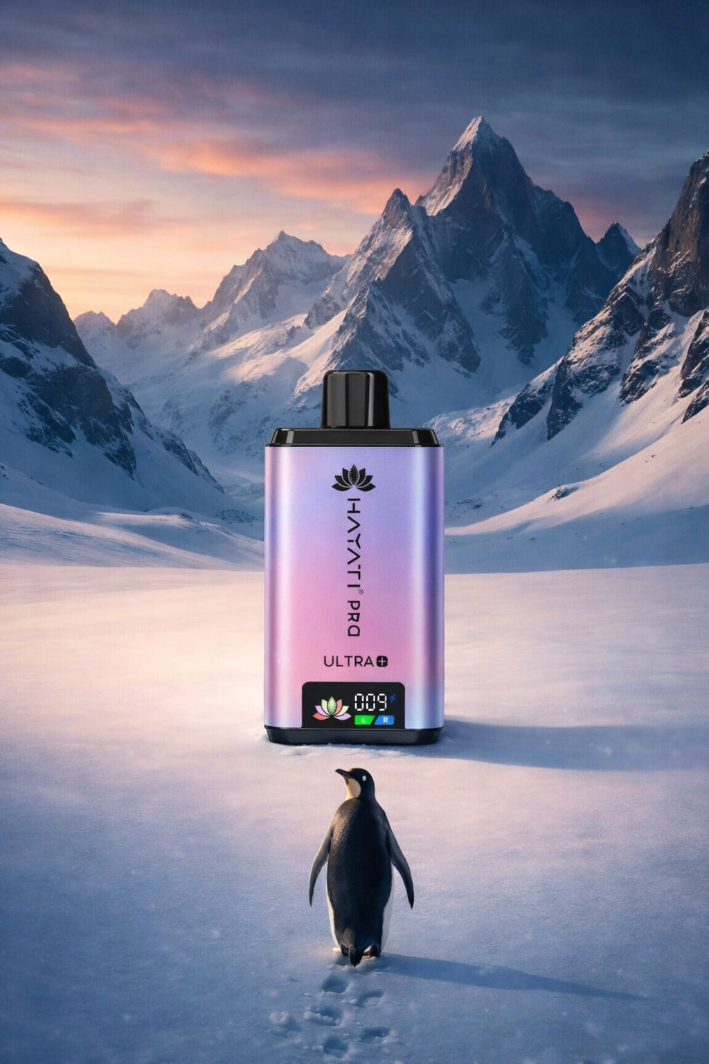 img-pengiun