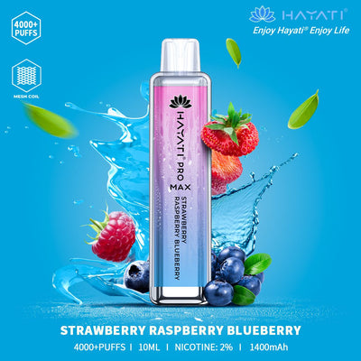HAYATI PRO MAX 4000 PUFFS AT BEST PRICE